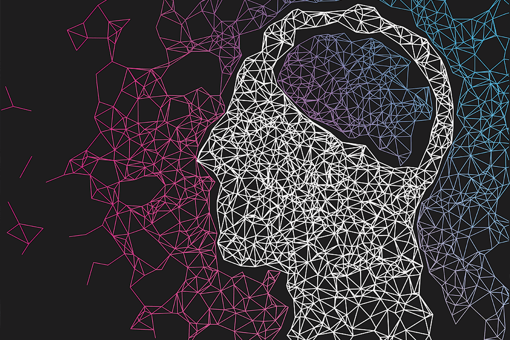 How a neural network works – a simple explanation on flowers