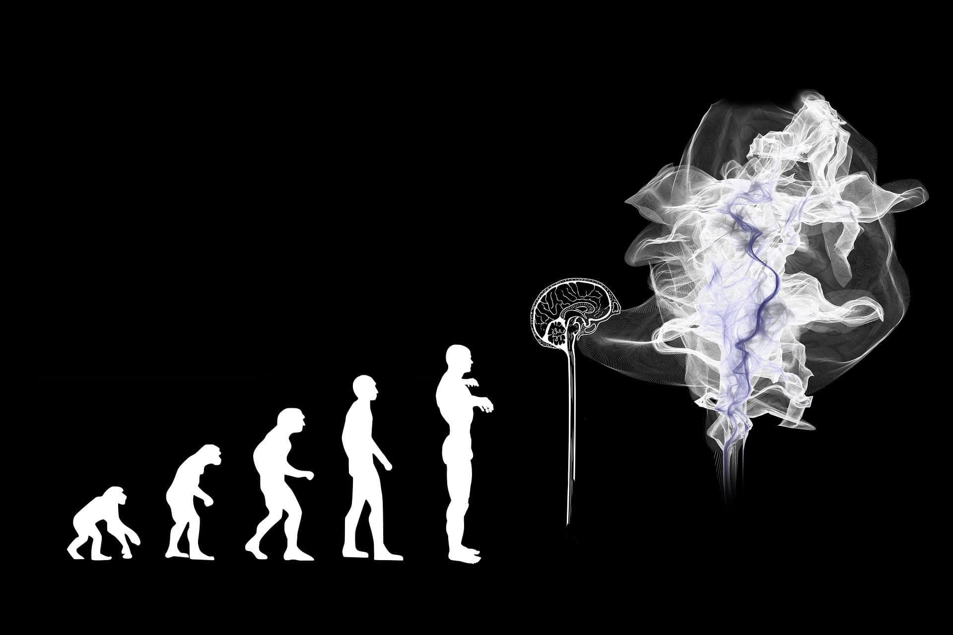 The most unusual cases with AI: what scares you in neural networks?